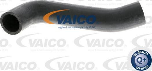 VAICO V10-2844 - Трубка нагнітається повітря avtolavka.club