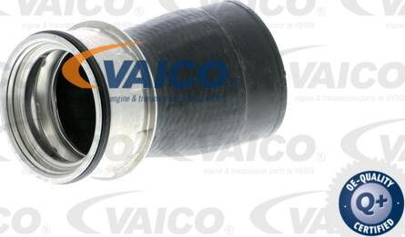 VAICO V10-2848 - Трубка нагнітається повітря avtolavka.club