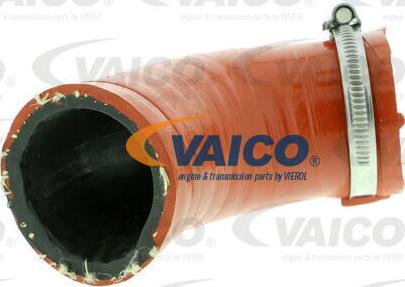 VAICO V10-2847 - Трубка нагнітається повітря avtolavka.club