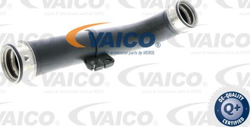 VAICO V10-2859 - Трубка нагнітається повітря avtolavka.club