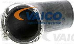 VAICO V10-2855 - Трубка нагнітається повітря avtolavka.club