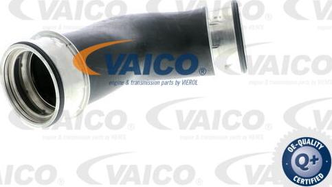 VAICO V10-2856 - Трубка нагнітається повітря avtolavka.club