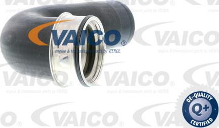 VAICO V10-2864 - Трубка нагнітається повітря avtolavka.club