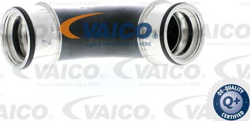 VAICO V10-2862 - Трубка нагнітається повітря avtolavka.club