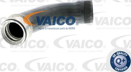 VAICO V10-2889 - Трубка нагнітається повітря avtolavka.club
