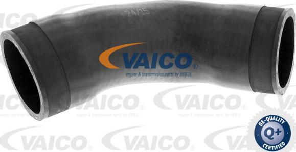 VAICO V10-2884 - Трубка нагнітається повітря avtolavka.club