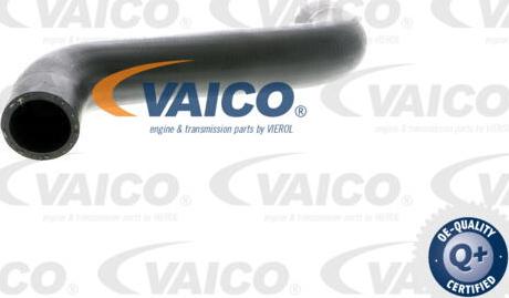 VAICO V10-2886 - Трубка нагнітається повітря avtolavka.club