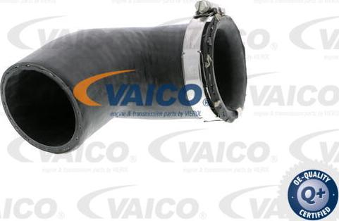 VAICO V10-2881 - Трубка нагнітається повітря avtolavka.club