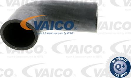 VAICO V10-2887 - Трубка нагнітається повітря avtolavka.club