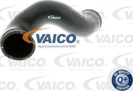 VAICO V10-2839 - Трубка нагнітається повітря avtolavka.club