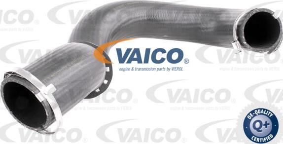 VAICO V10-2835 - Трубка нагнітається повітря avtolavka.club