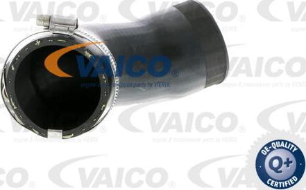 VAICO V10-2831 - Трубка нагнітається повітря avtolavka.club