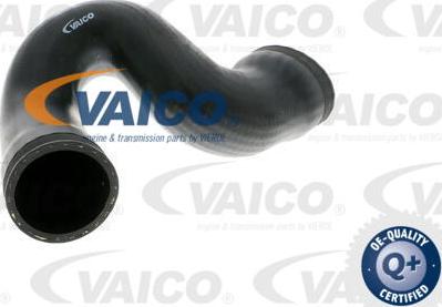 VAICO V10-2876 - Трубка нагнітається повітря avtolavka.club