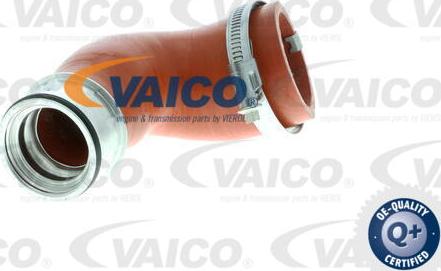 VAICO V10-2870 - Трубка нагнітається повітря avtolavka.club