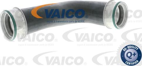 VAICO V10-2871 - Трубка нагнітається повітря avtolavka.club