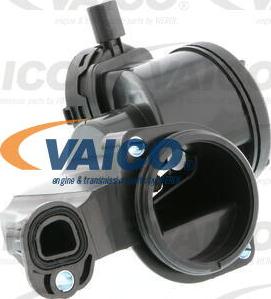 VAICO V10-2255 - Маслознімний щиток, вентиляція картера avtolavka.club