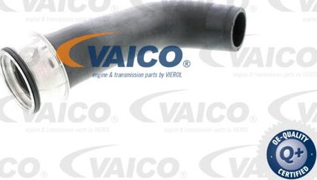 VAICO V10-2703 - Трубка нагнітається повітря avtolavka.club