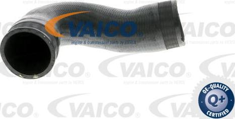 VAICO V10-2702 - Трубка нагнітається повітря avtolavka.club