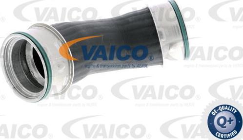 VAICO V10-7362 - Трубка нагнітається повітря avtolavka.club