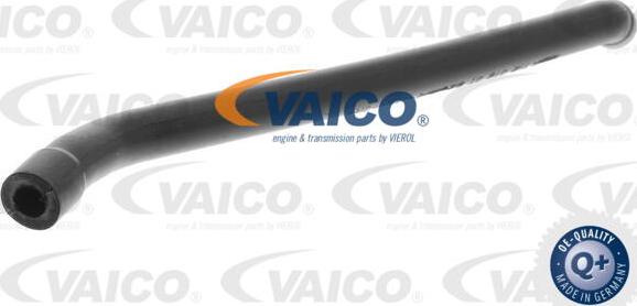 VAICO V30-0862 - Шланг, вентиляція картера avtolavka.club