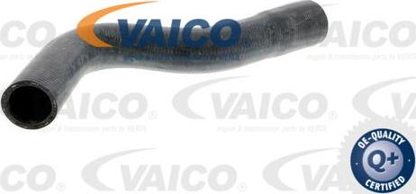 VAICO V30-0247 - Шланг радіатора avtolavka.club