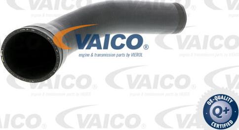 VAICO V30-1796 - Трубка нагнітається повітря avtolavka.club