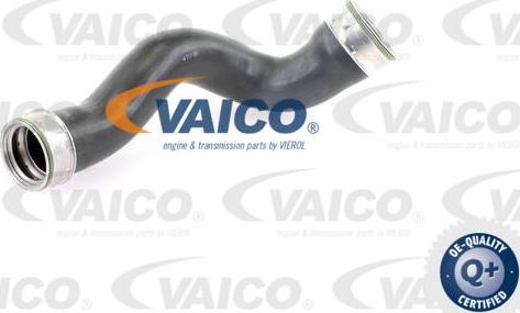 VAICO V30-1779 - Трубка нагнітається повітря avtolavka.club