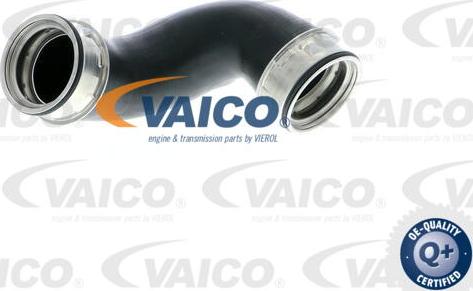 VAICO V30-1778 - Трубка нагнітається повітря avtolavka.club