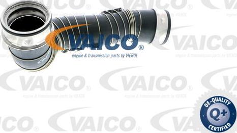 VAICO V30-1777 - Трубка нагнітається повітря avtolavka.club