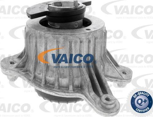 VAICO V30-3094 - Подушка, підвіска двигуна avtolavka.club