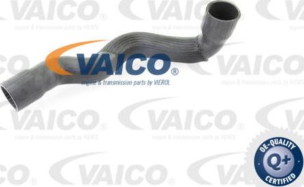 VAICO V30-2249 - Трубка нагнітається повітря avtolavka.club