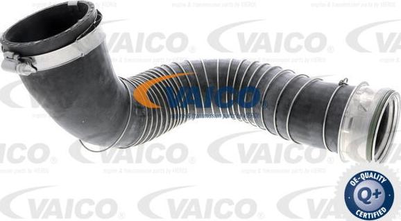 VAICO V30-2711 - Трубка нагнітається повітря avtolavka.club