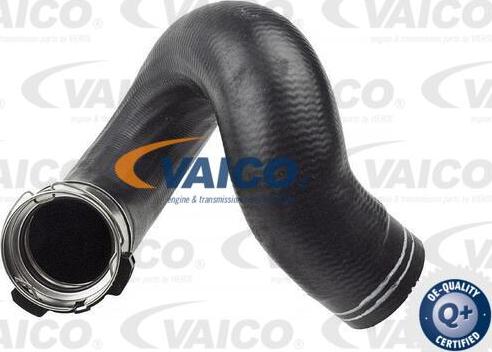 VAICO V24-0674 - Трубка нагнітається повітря avtolavka.club