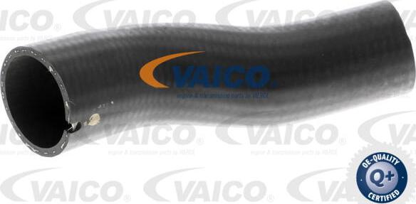 VAICO V24-0715 - Трубка нагнітається повітря avtolavka.club