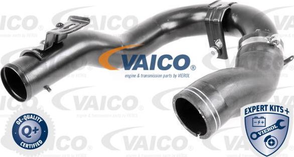 VAICO V24-0718 - Трубка нагнітається повітря avtolavka.club