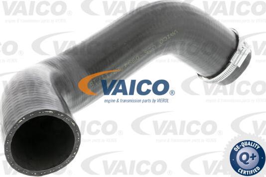 VAICO V25-0994 - Трубка нагнітається повітря avtolavka.club