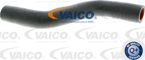 VAICO V25-0945 - Трубка нагнітається повітря avtolavka.club