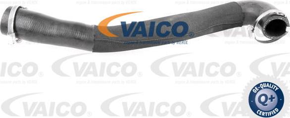 VAICO V25-1043 - Трубка нагнітається повітря avtolavka.club