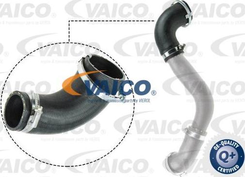 VAICO V25-1050 - Трубка нагнітається повітря avtolavka.club