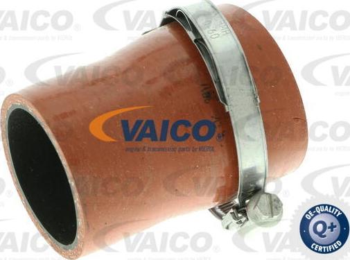 VAICO V25-1035 - Трубка нагнітається повітря avtolavka.club