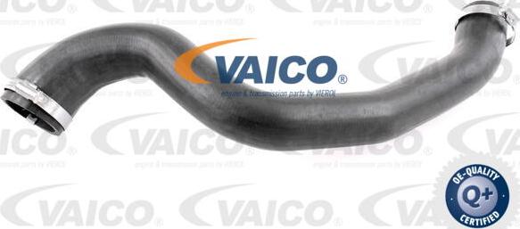 VAICO V25-1028 - Трубка нагнітається повітря avtolavka.club