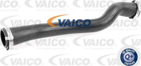 VAICO V25-1247 - Трубка нагнітається повітря avtolavka.club