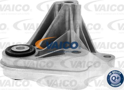 VAICO V25-1258 - Подушка, підвіска двигуна avtolavka.club