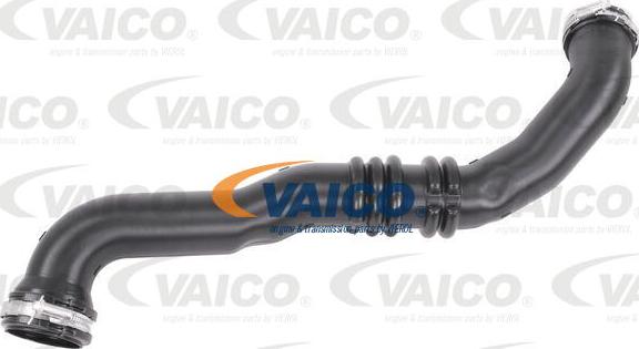 VAICO V25-2131 - Трубка нагнітається повітря avtolavka.club