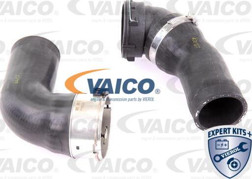 VAICO V20-1617 - Трубка нагнітається повітря avtolavka.club