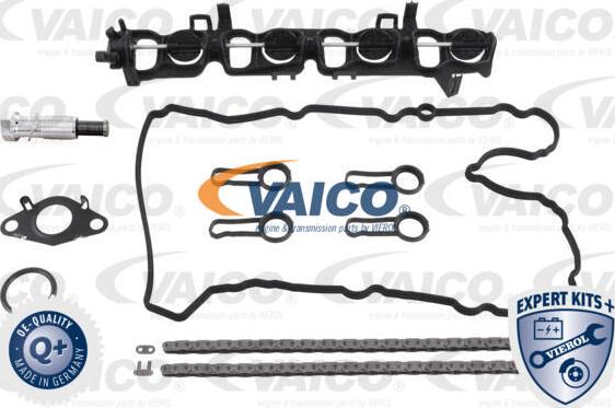 VAICO V20-10024 - Комплект ланцюга приводу распредвала avtolavka.club