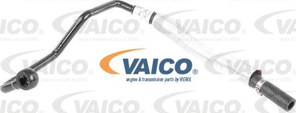 VAICO V20-1735 - Гідравлічний шланг, рульове управління avtolavka.club
