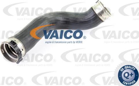 VAICO V20-2965 - Трубка нагнітається повітря avtolavka.club