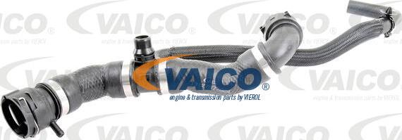 VAICO V20-2421 - Шланг радіатора avtolavka.club