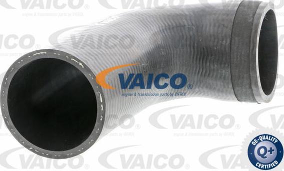 VAICO V20-2711 - Трубка нагнітається повітря avtolavka.club